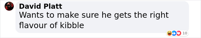 Purr-Hibited: People Fume Over Aldi Shopper After She Brought Her Cat To The Store Purr-Hibited: People Fume Over Aldi Shopper After She Brought Her Cat To The Store