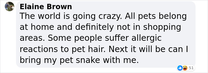 Purr-Hibited: People Fume Over Aldi Shopper After She Brought Her Cat To The Store Purr-Hibited: People Fume Over Aldi Shopper After She Brought Her Cat To The Store