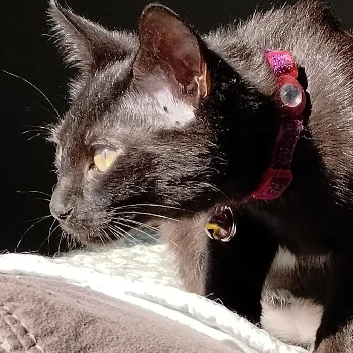 Hey Pandas, Share A Pic Of Your Valentine’s Day Surprise Or Gift (Closed)