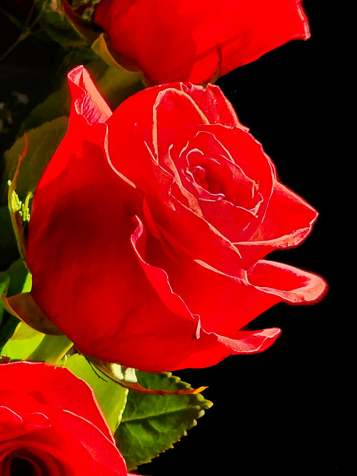 Hey Pandas, Share A Pic Of Your Valentine’s Day Surprise Or Gift (Closed)