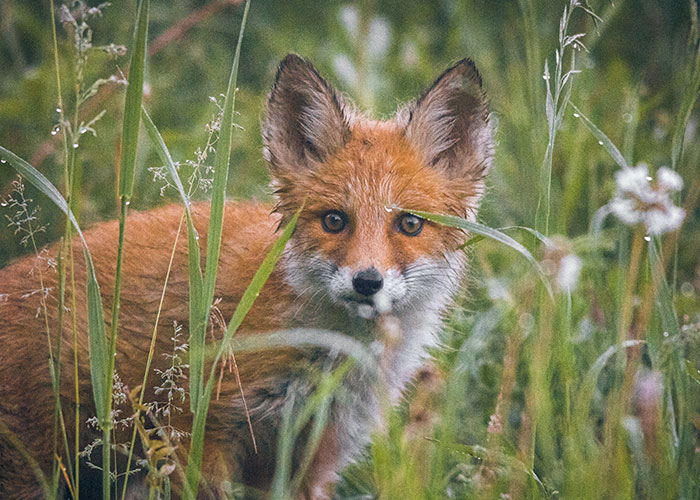 30 People Reveal The “Dumbest” Parts Of Their Cultures 30 People Reveal The “Dumbest” Parts Of Their Cultures