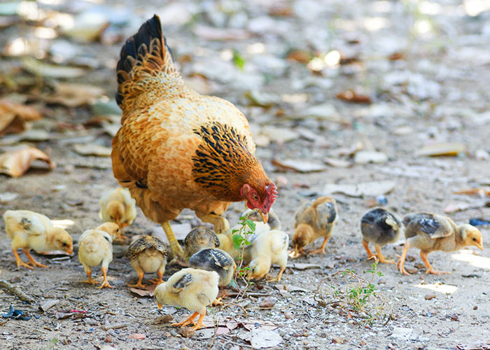 30 People Reveal The “Dumbest” Parts Of Their Cultures 30 People Reveal The “Dumbest” Parts Of Their Cultures