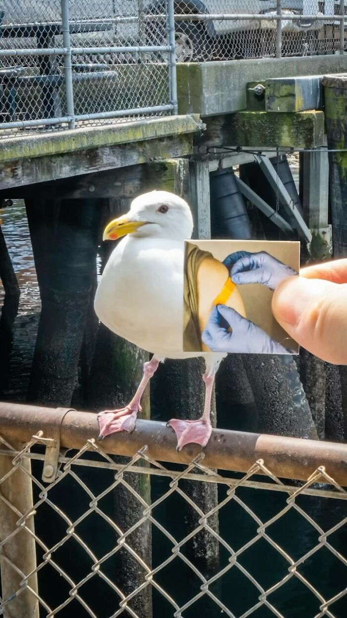 Street Artist Plays With His Surroundings And Paper Cutouts To Create Fun Scenes (26 New Pics) Street Artist Plays With His Surroundings And Paper Cutouts To Create Fun Scenes (26 New Pics)