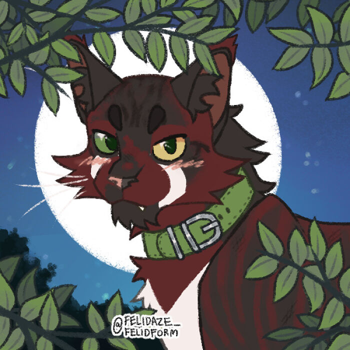 I Make Warrior Cat Ocs And I Don’t Know What To Name These I Make Warrior Cat Ocs And I Don’t Know What To Name These