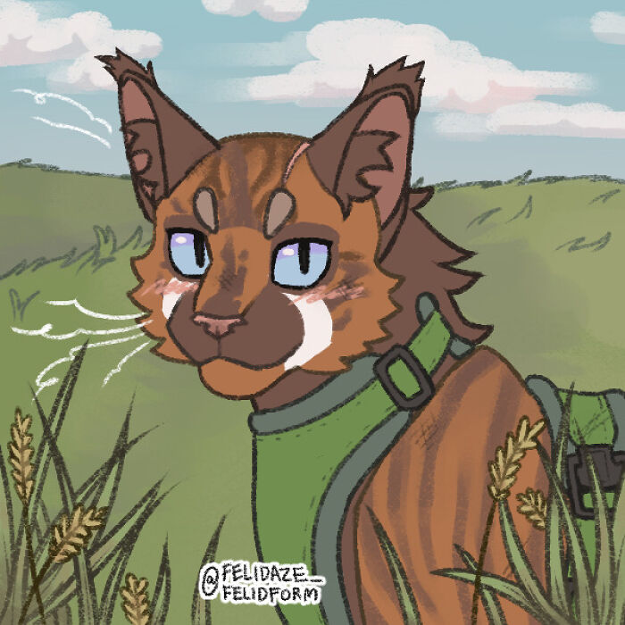 I Make Warrior Cat Ocs And I Don’t Know What To Name These I Make Warrior Cat Ocs And I Don’t Know What To Name These