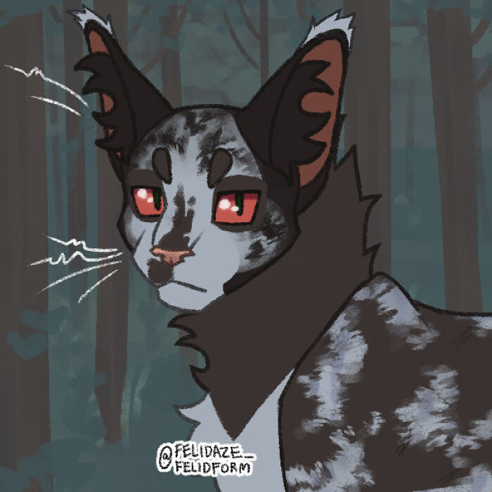 I Make Warrior Cat Ocs And I Don’t Know What To Name These I Make Warrior Cat Ocs And I Don’t Know What To Name These