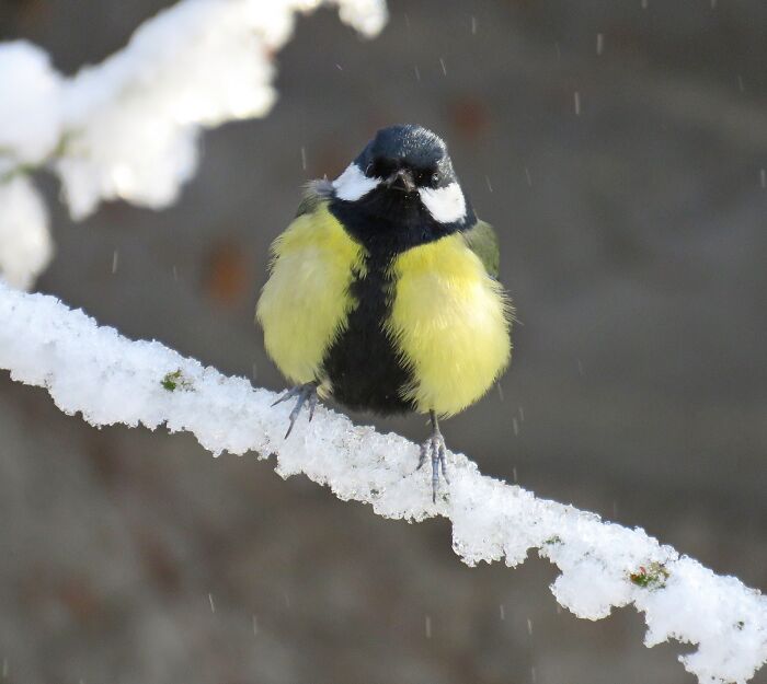 Hey Pandas, Share Your Best Photos Taken In January (Closed) Hey Pandas, Share Your Best Photos Taken In January (Closed)