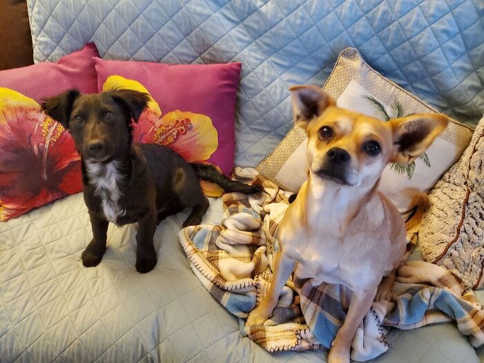 Hey Pandas, Share Your Best Photos Taken In January (Closed) Hey Pandas, Share Your Best Photos Taken In January (Closed)