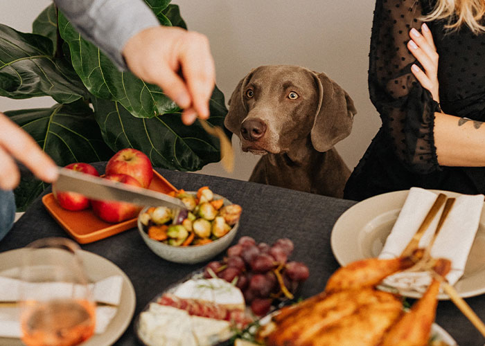 “Take Out All The Quarters”: People Share 40 Unscrupulous Practices They Live By “Take Out All The Quarters”: People Share 40 Unscrupulous Practices They Live By