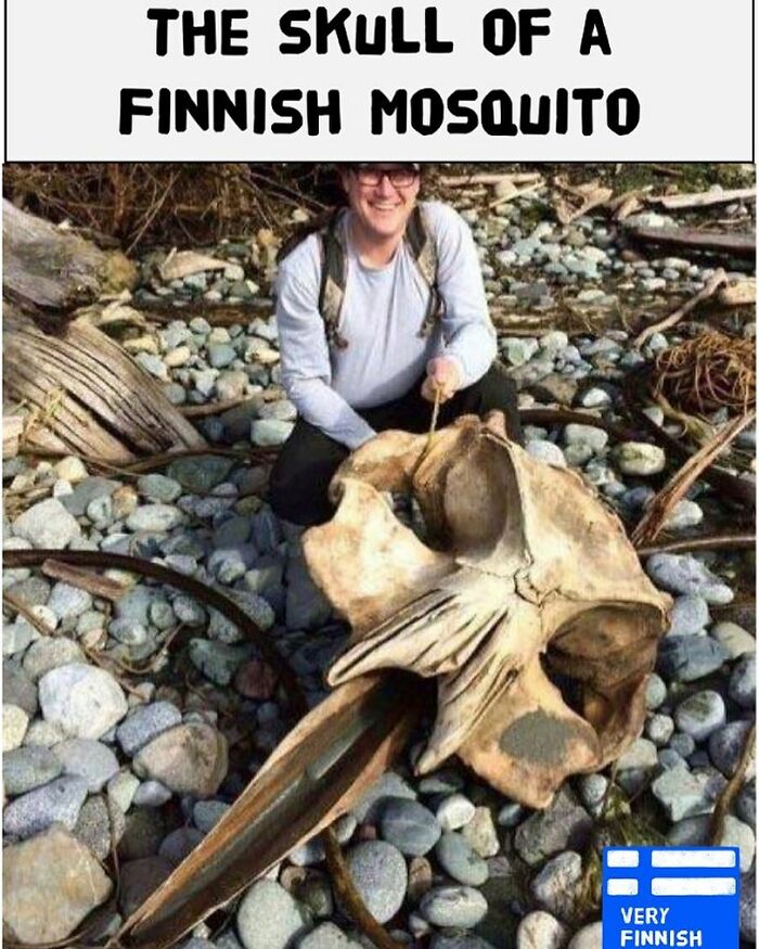 British Man Living In Helsinki Shares “Very Finnish Problems” And They’re Hilariously Accurate British Man Living In Helsinki Shares “Very Finnish Problems” And They’re Hilariously Accurate