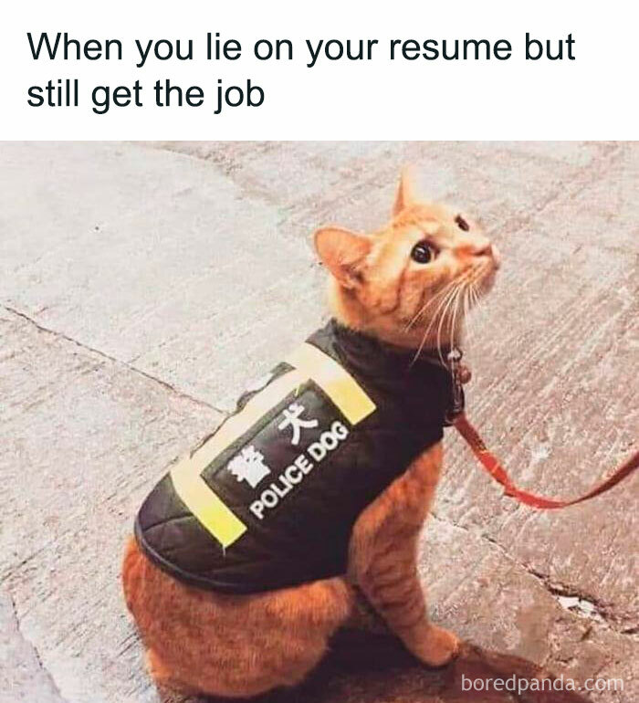 50 Funny Memes To Help You Get Through The Work Day 50 Funny Memes To Help You Get Through The Work Day