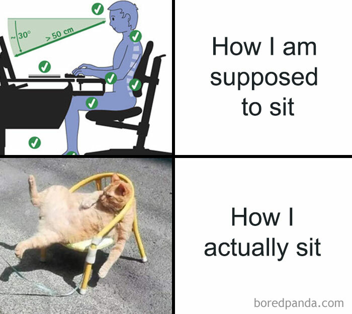 50 Funny Memes To Help You Get Through The Work Day 50 Funny Memes To Help You Get Through The Work Day