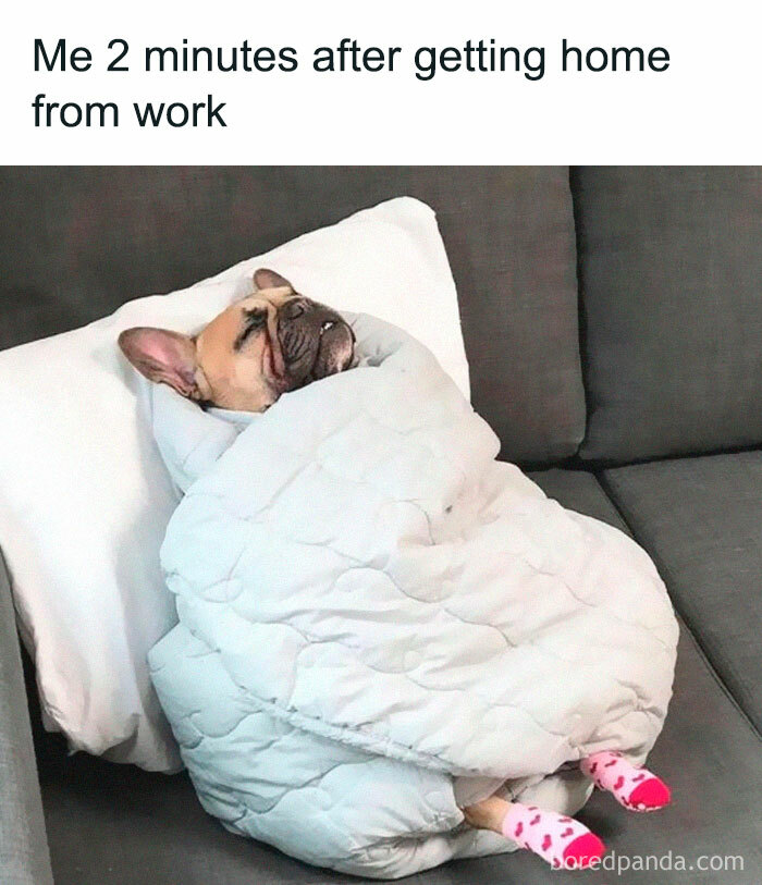 50 Funny Memes To Help You Get Through The Work Day 50 Funny Memes To Help You Get Through The Work Day