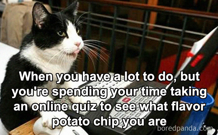 50 Funny Memes To Help You Get Through The Work Day 50 Funny Memes To Help You Get Through The Work Day