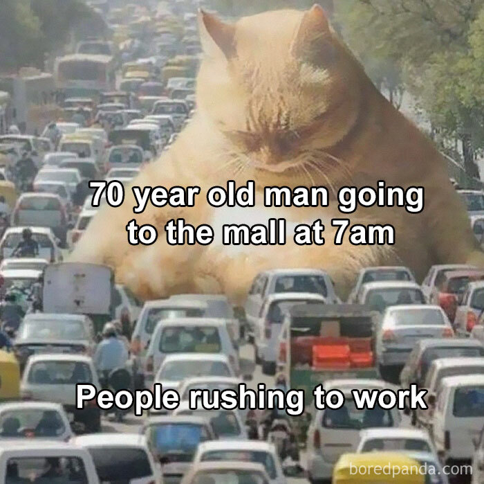 50 Funny Memes To Help You Get Through The Work Day 50 Funny Memes To Help You Get Through The Work Day