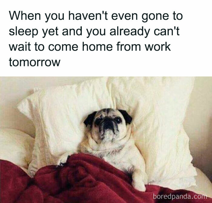 50 Funny Memes To Help You Get Through The Work Day 50 Funny Memes To Help You Get Through The Work Day