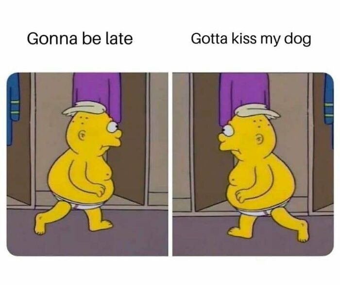 50 Funny Memes To Help You Get Through The Work Day 50 Funny Memes To Help You Get Through The Work Day