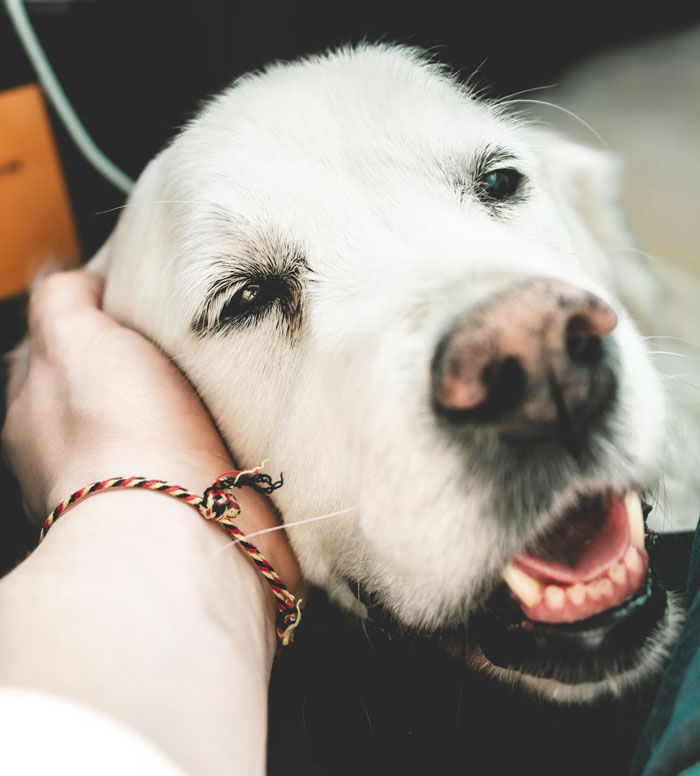 30 Of The Worst Cheating Stories These People Have Ever Heard 30 Of The Worst Cheating Stories These People Have Ever Heard