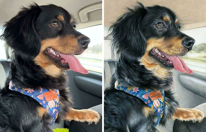 50 Of The Most Interesting Comparison Pics That Might Give You A Fresh New Perspective On Things (New Pics) 50 Of The Most Interesting Comparison Pics That Might Give You A Fresh New Perspective On Things (New Pics)