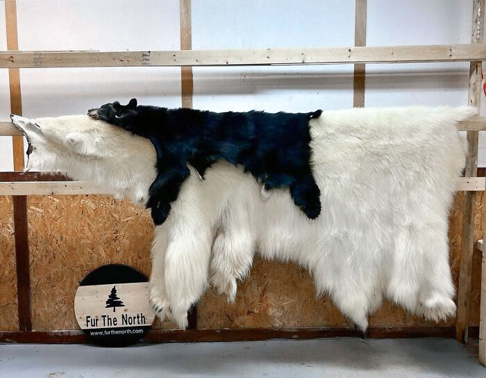 50 Of The Most Interesting Comparison Pics That Might Give You A Fresh New Perspective On Things (New Pics) 50 Of The Most Interesting Comparison Pics That Might Give You A Fresh New Perspective On Things (New Pics)