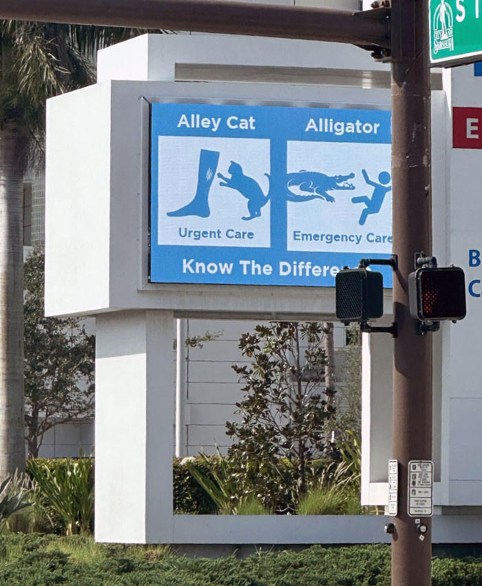 50 Of The Most Interesting Comparison Pics That Might Give You A Fresh New Perspective On Things (New Pics) 50 Of The Most Interesting Comparison Pics That Might Give You A Fresh New Perspective On Things (New Pics)