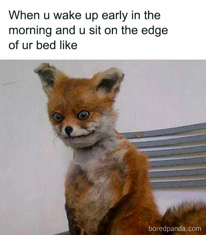 45 Memes That Introverts And Those Of Us Who Dislike People May Enjoy (New Pics) 45 Memes That Introverts And Those Of Us Who Dislike People May Enjoy (New Pics)