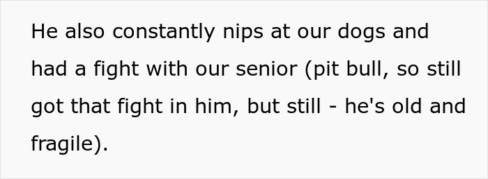 “I Dropped My MIL’s Dog Off As A Stray At A Shelter, And I Don’t Feel Bad” “I Dropped My MIL’s Dog Off As A Stray At A Shelter, And I Don’t Feel Bad”