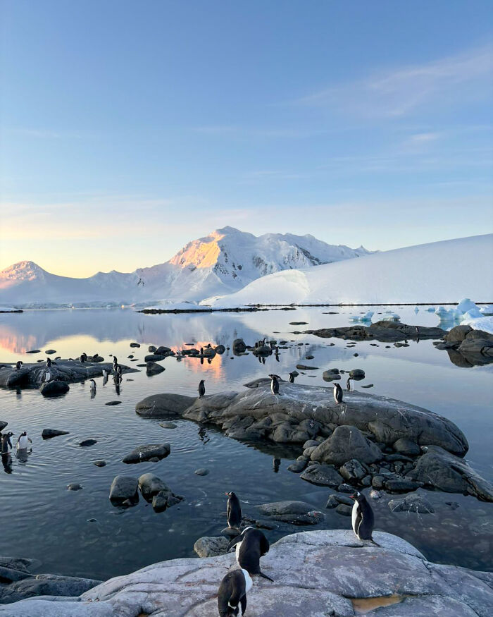 “It’s Life-changing”: World’s Most Remote Post Office Is Hiring 4 Postmasters “It’s Life-changing”: World’s Most Remote Post Office Is Hiring 4 Postmasters