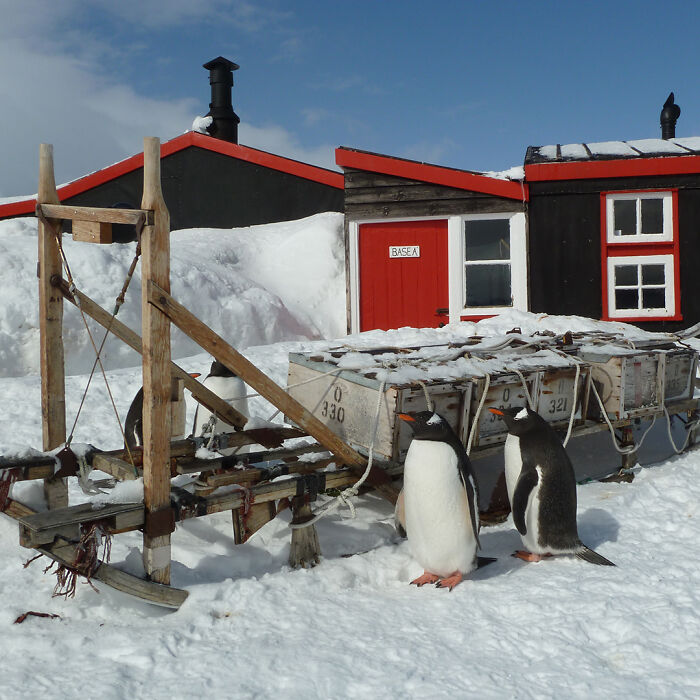 “It’s Life-changing”: World’s Most Remote Post Office Is Hiring 4 Postmasters “It’s Life-changing”: World’s Most Remote Post Office Is Hiring 4 Postmasters
