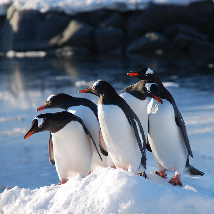 “It’s Life-changing”: World’s Most Remote Post Office Is Hiring 4 Postmasters “It’s Life-changing”: World’s Most Remote Post Office Is Hiring 4 Postmasters