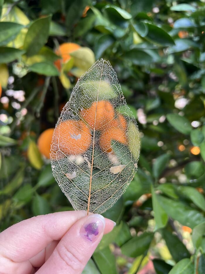 This FB Page Shares Spectacular Photos Of Unspectacular Things, Here Are 50 Of The Most Interesting This FB Page Shares Spectacular Photos Of Unspectacular Things, Here Are 50 Of The Most Interesting