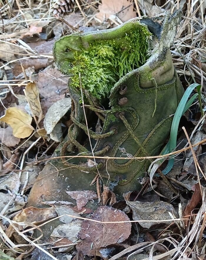 This FB Page Shares Spectacular Photos Of Unspectacular Things, Here Are 50 Of The Most Interesting This FB Page Shares Spectacular Photos Of Unspectacular Things, Here Are 50 Of The Most Interesting