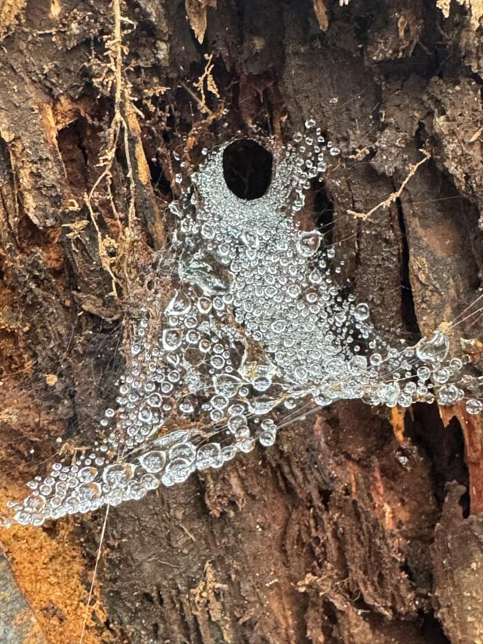 This FB Page Shares Spectacular Photos Of Unspectacular Things, Here Are 50 Of The Most Interesting This FB Page Shares Spectacular Photos Of Unspectacular Things, Here Are 50 Of The Most Interesting