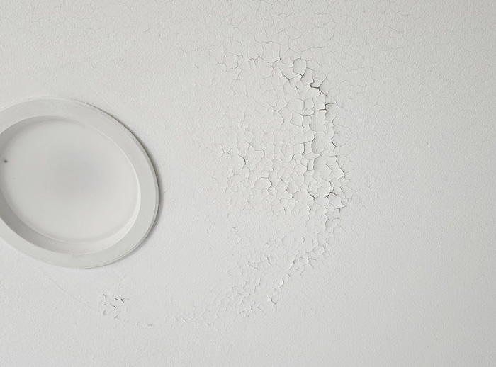 Your Eggshell Paint Handbook for Eggstraordinary Chic Interiors Your Eggshell Paint Handbook for Eggstraordinary Chic Interiors