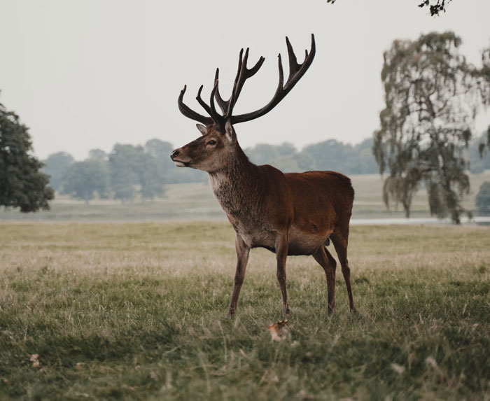 Common Sense Isn’t All That Common: 45 ‘Obvious’ Things People Only Just Learned Common Sense Isn’t All That Common: 45 ‘Obvious’ Things People Only Just Learned