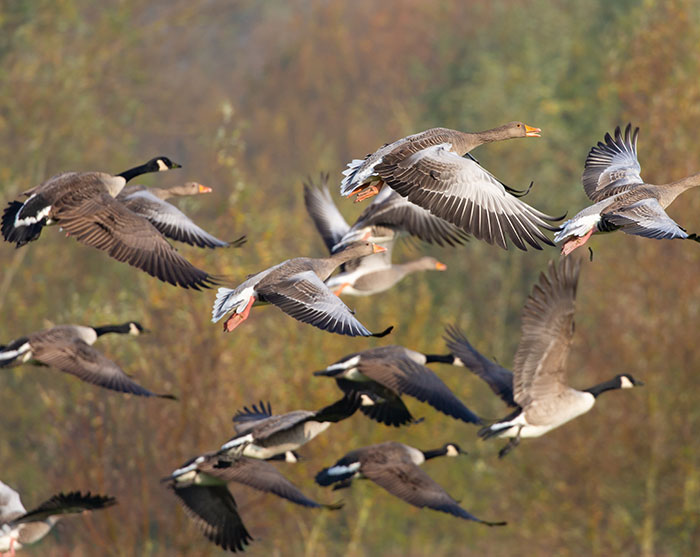 26 Of The Craziest “Speak Now Or Forever Hold Your Peace” Objections Witnessed By Officiants 26 Of The Craziest “Speak Now Or Forever Hold Your Peace” Objections Witnessed By Officiants