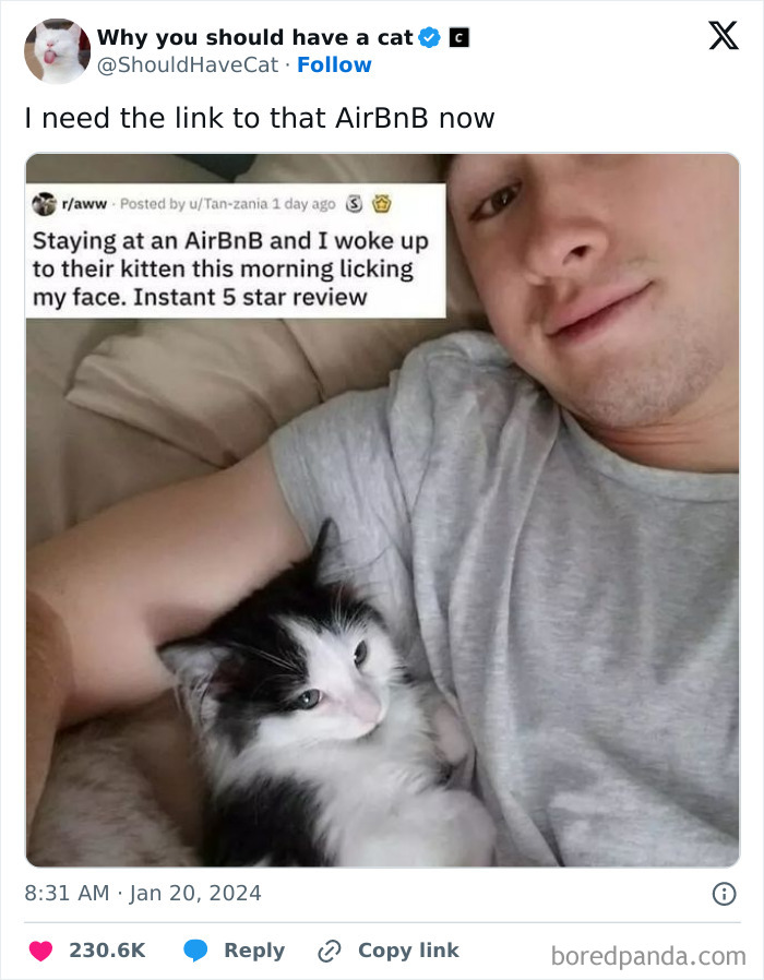 This Page Shares &lsquo;Why You Should Have A Cat&rsquo; And Here&rsquo;s 50 Of The Most Compelling Reasons (New Pics)