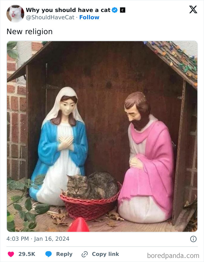 This Page Shares &lsquo;Why You Should Have A Cat&rsquo; And Here&rsquo;s 50 Of The Most Compelling Reasons (New Pics)