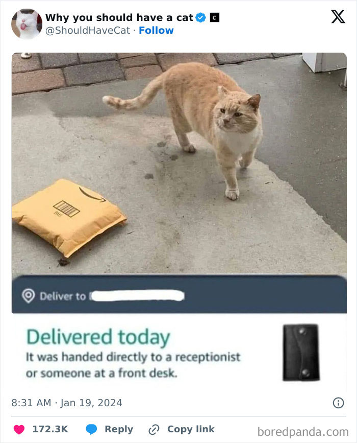 This Page Shares &lsquo;Why You Should Have A Cat&rsquo; And Here&rsquo;s 50 Of The Most Compelling Reasons (New Pics)