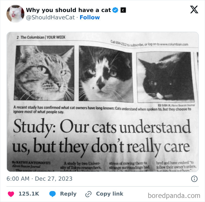 This Page Shares &lsquo;Why You Should Have A Cat&rsquo; And Here&rsquo;s 50 Of The Most Compelling Reasons (New Pics)