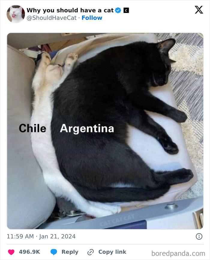 This Page Shares &lsquo;Why You Should Have A Cat&rsquo; And Here&rsquo;s 50 Of The Most Compelling Reasons (New Pics)