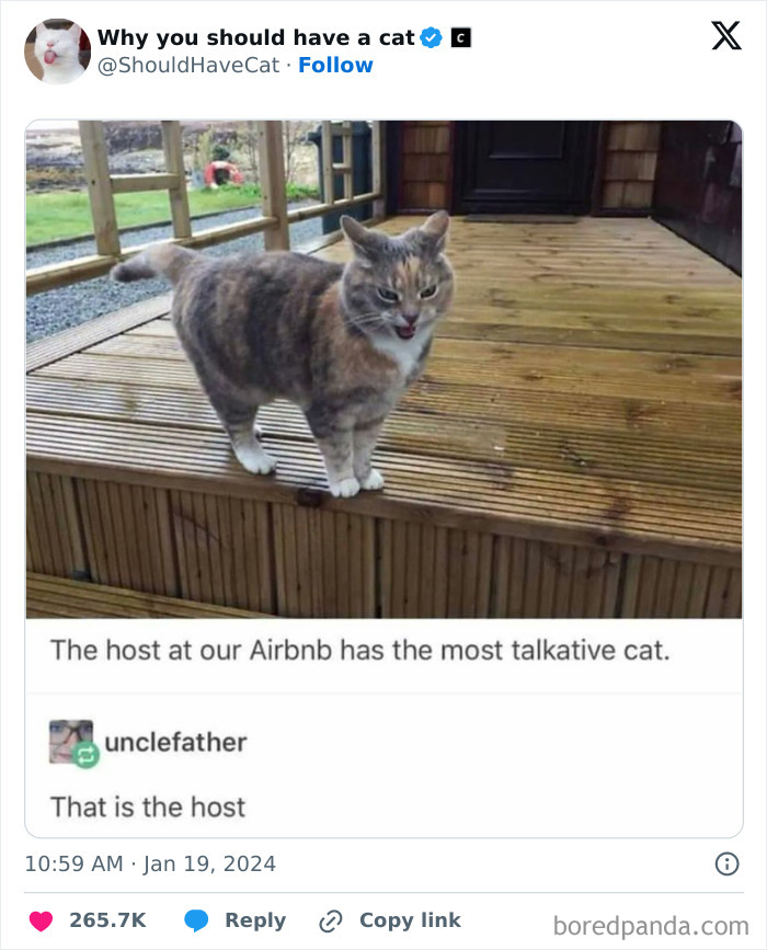 This Page Shares &lsquo;Why You Should Have A Cat&rsquo; And Here&rsquo;s 50 Of The Most Compelling Reasons (New Pics)