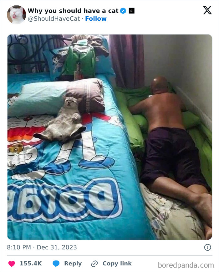 This Page Shares &lsquo;Why You Should Have A Cat&rsquo; And Here&rsquo;s 50 Of The Most Compelling Reasons (New Pics)