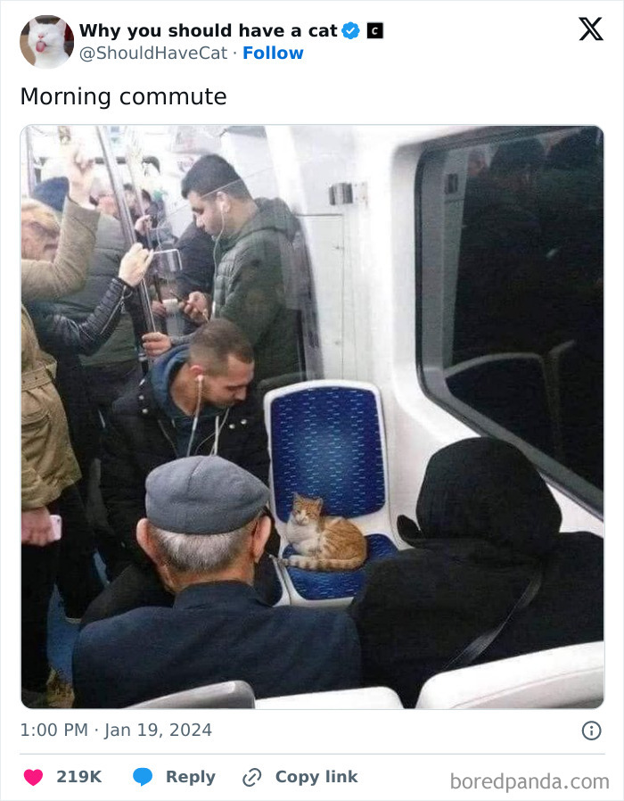 This Page Shares &lsquo;Why You Should Have A Cat&rsquo; And Here&rsquo;s 50 Of The Most Compelling Reasons (New Pics)