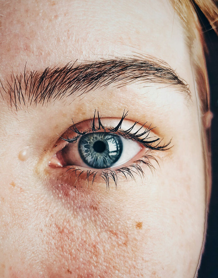 “Cheetahs Are Extremely Inbred”: 50 Interesting Genetics Facts You May Have Missed At School “Cheetahs Are Extremely Inbred”: 50 Interesting Genetics Facts You May Have Missed At School