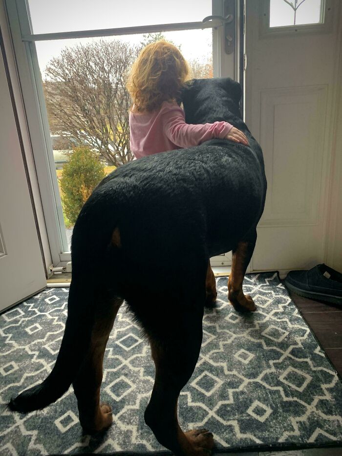 50 Wholesome Pics Of Pets Who Will Not Have To Be Alone Ever Again (January Edition) 50 Wholesome Pics Of Pets Who Will Not Have To Be Alone Ever Again (January Edition)