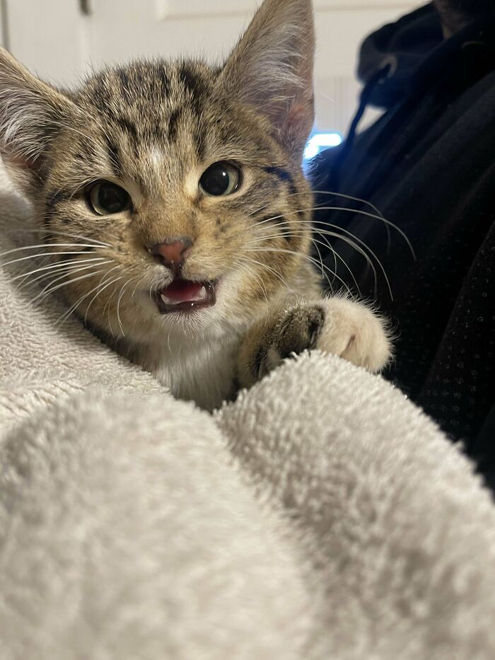 50 Wholesome Pics Of Pets Who Will Not Have To Be Alone Ever Again (January Edition) 50 Wholesome Pics Of Pets Who Will Not Have To Be Alone Ever Again (January Edition)