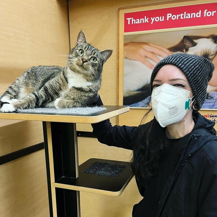 50 Wholesome Pics Of Pets Who Will Not Have To Be Alone Ever Again (January Edition) 50 Wholesome Pics Of Pets Who Will Not Have To Be Alone Ever Again (January Edition)