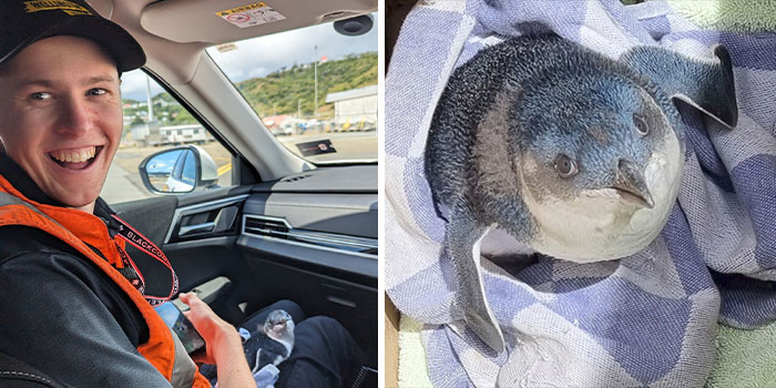 7 Fantastic Animals Who Made Headlines In January 7 Fantastic Animals Who Made Headlines In January