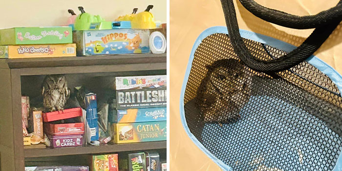 7 Fantastic Animals Who Made Headlines In January 7 Fantastic Animals Who Made Headlines In January